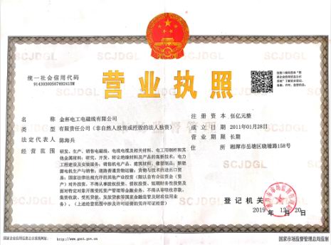 Business License